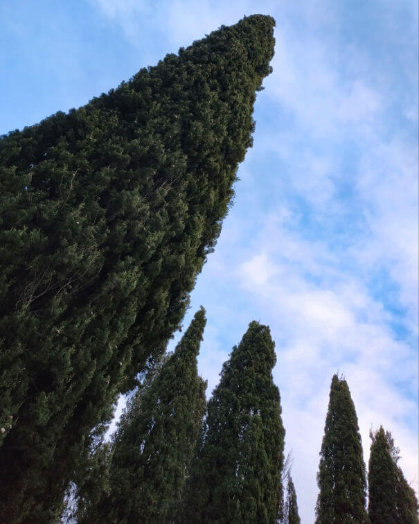 research at Sarrazin’s two burial sites